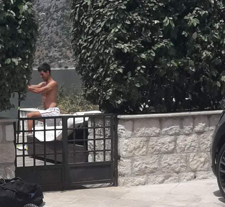Novak trening 381 vesti